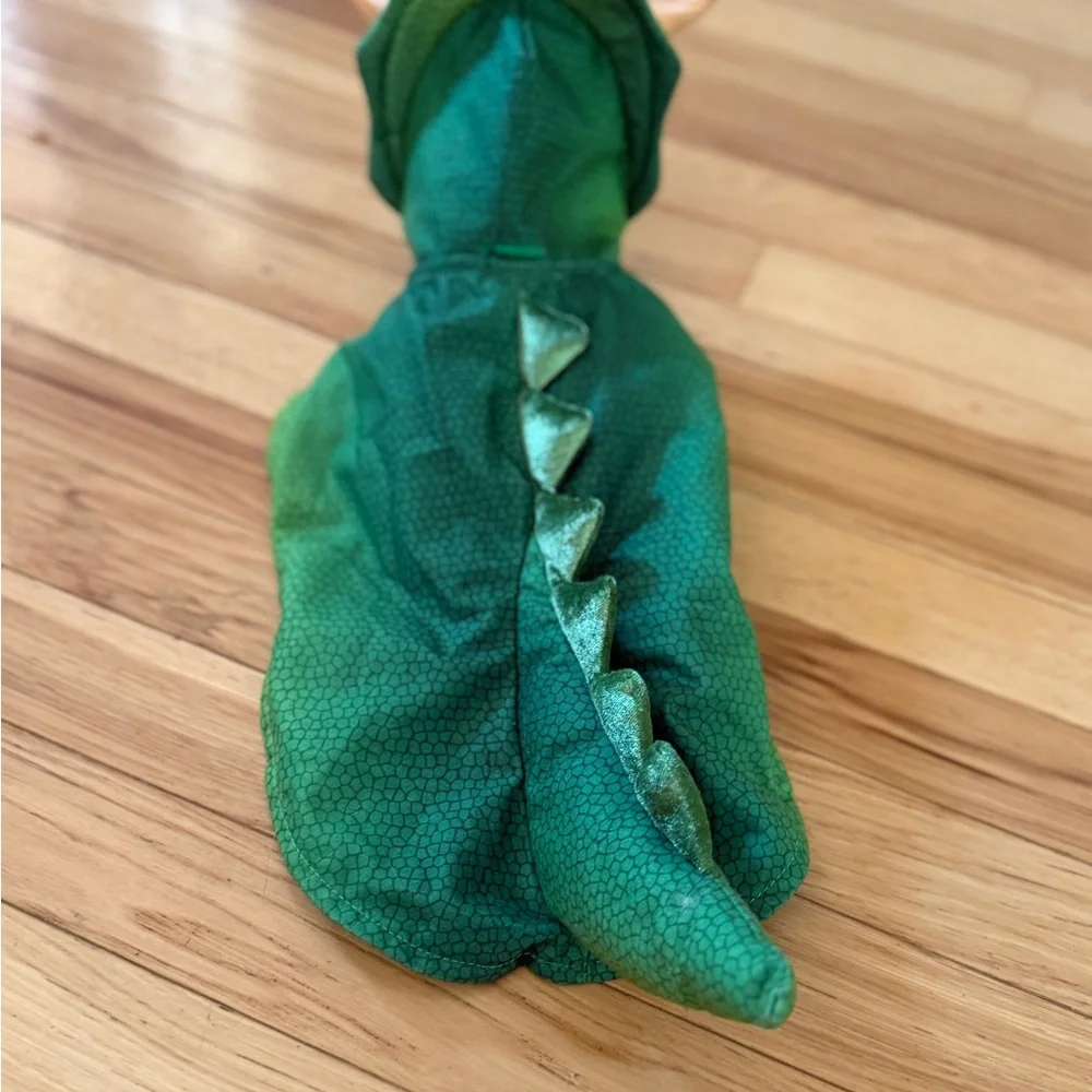 Green Dinosaur 🦖 Costume and Pirate Hat 🏴‍☠️ for Pets 🐱 🐶